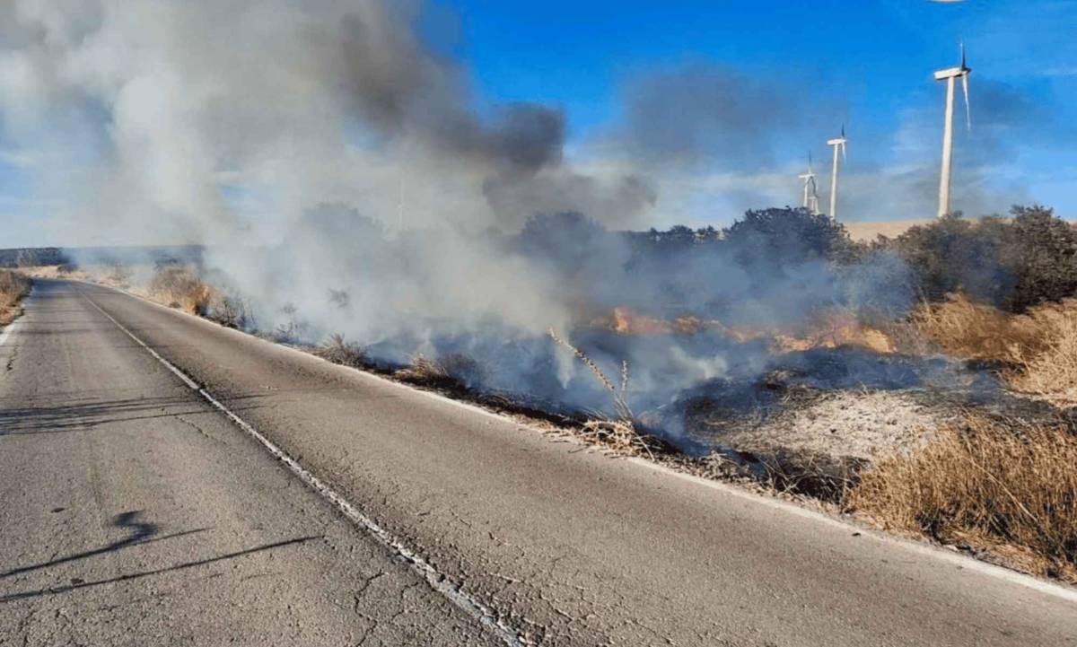 El fuego ha alcanzado dos plantas fotovoltaicas, aunque solo ha afectado a la vegetación. - El fuego ha alcanzado dos plantas fotovoltaicas, aunque solo ha afectado a la vegetación.