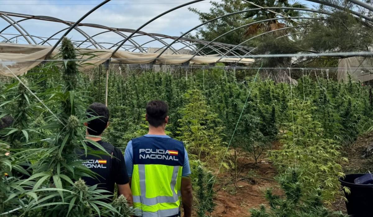Fuerte golpe al narcotráfico en Sanlúcar y Chipiona: 1.300 kilos de marihuana