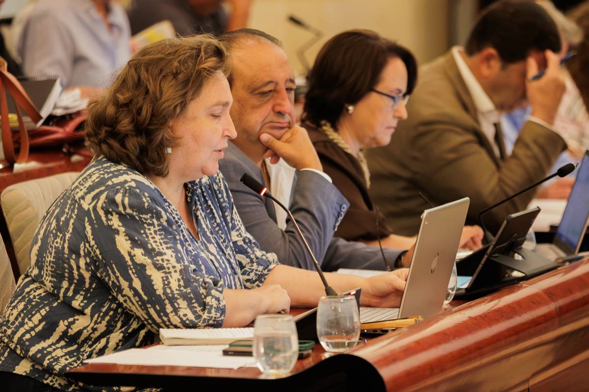 La delegada de Urbanismo, Belén de la Cuadra, durante el pleno en Jerez.