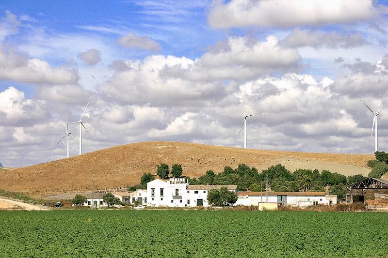 El Bucarito tiene el 'ok' del pleno de Jerez para construir una granja porcina intensiva en una finca del término municipal