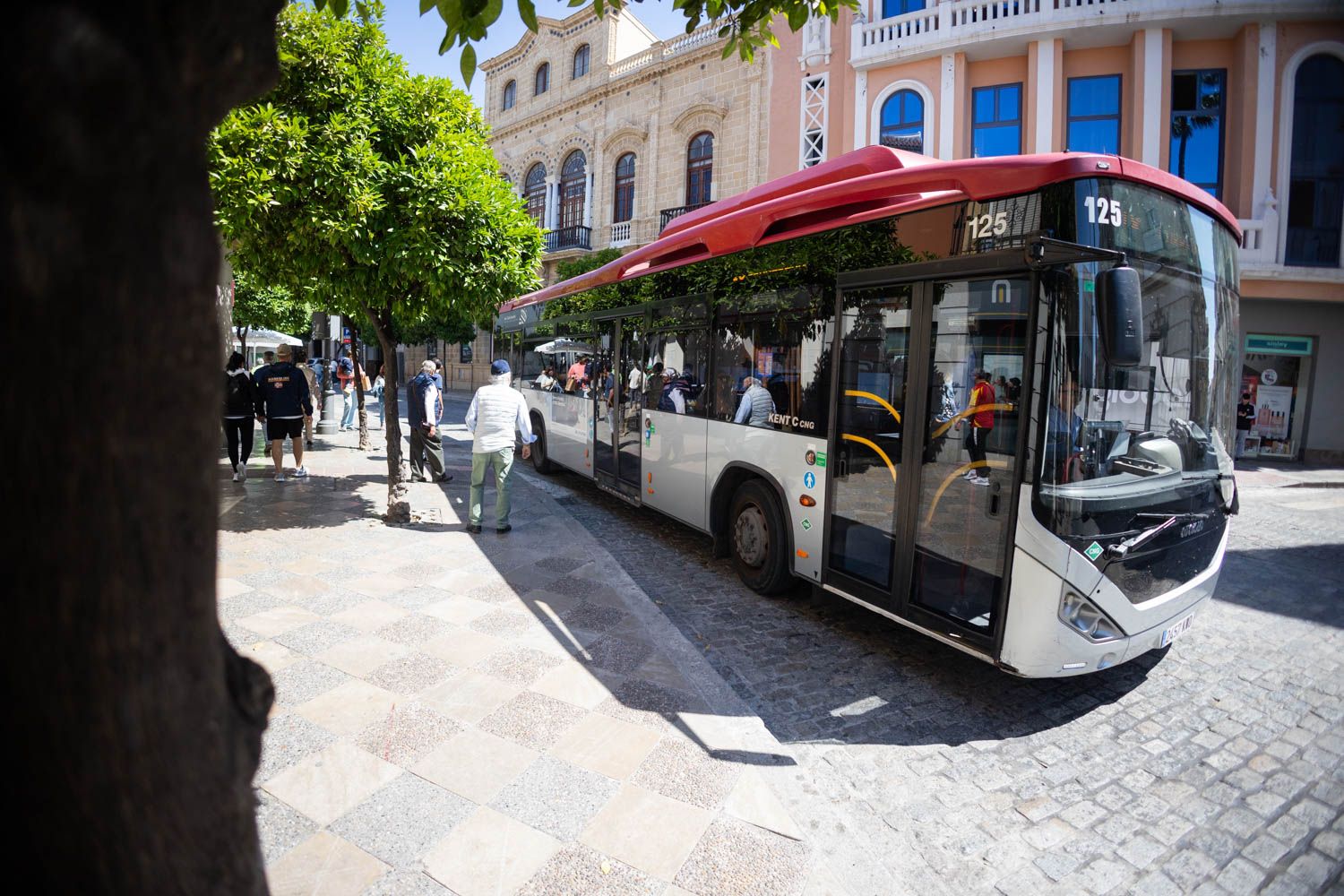 Autobuses en Jerez, en una imagen reciente. - MANU GARCÍA