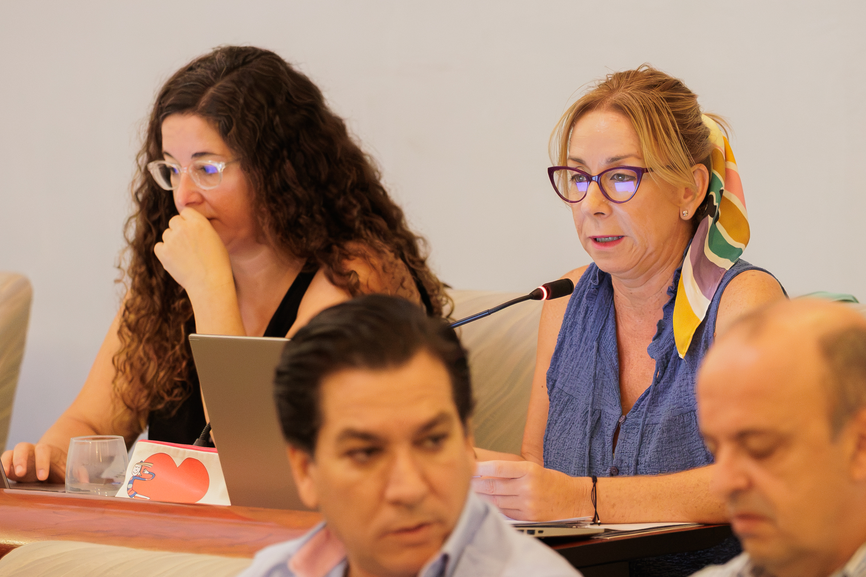 PLENO MUNICIPAL JEREZ SEPTIEMBRE 2026