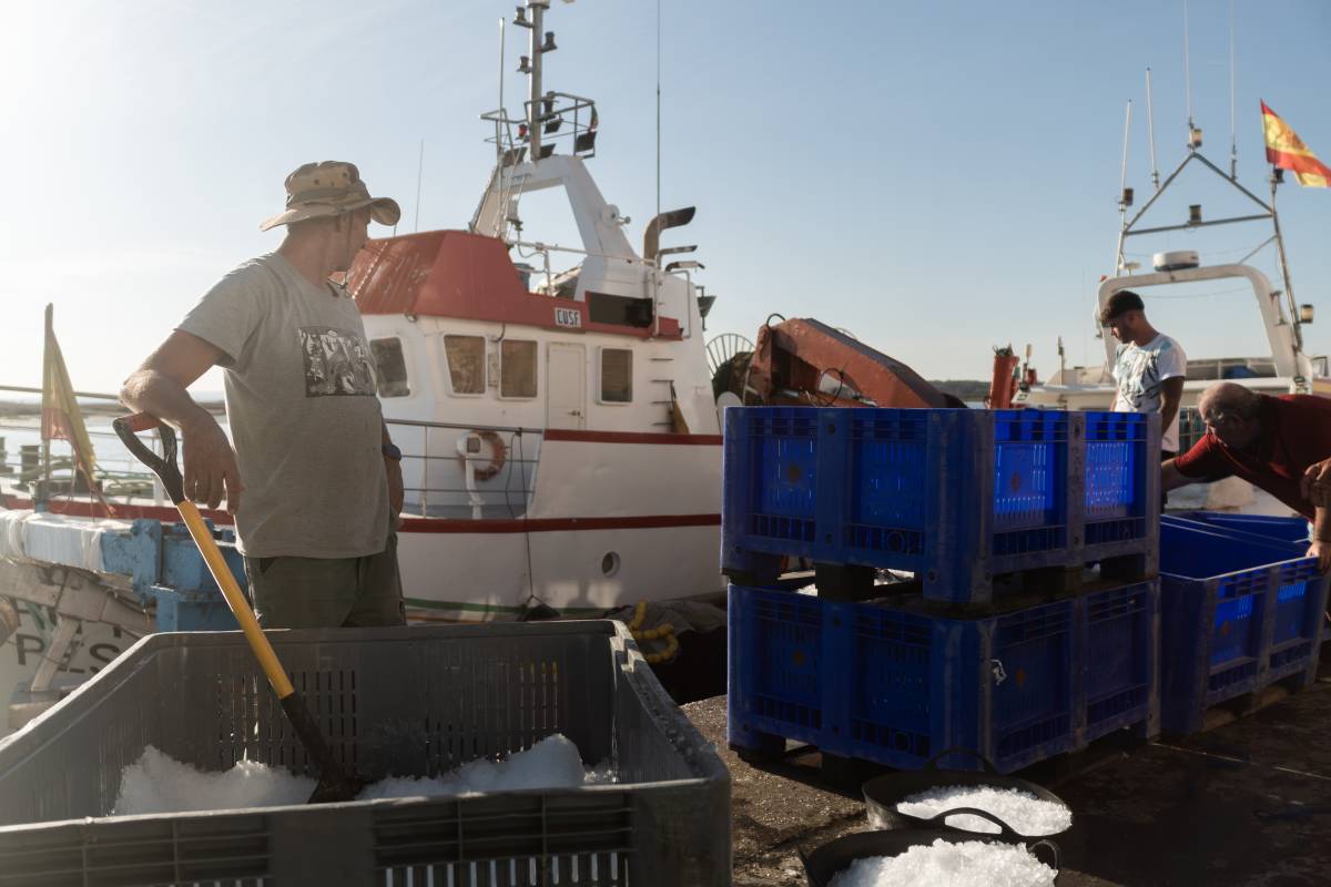 PESCA CABALLA PUERTO PESQUERO ISLA CRISTINA HUELVA - MANU GARCÍA PESCA CABALLA PUERTO PESQUERO ISLA CRISTINA HUELVA