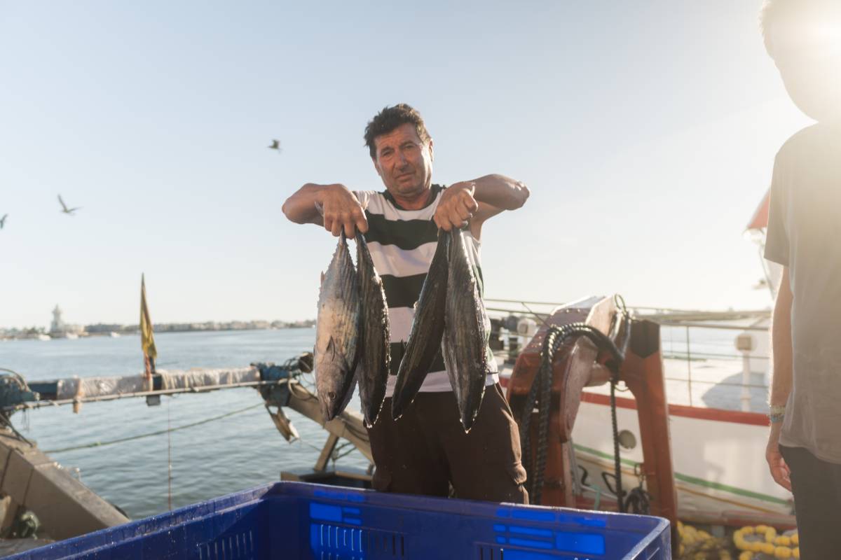 PESCA CABALLA PUERTO PESQUERO ISLA CRISTINA HUELVA - MANU GARCÍA PESCA CABALLA PUERTO PESQUERO ISLA CRISTINA HUELVA