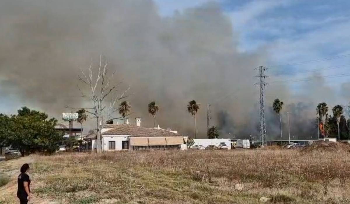 Incendio a la entrada de Jerez junto a la Venta Esteban y la gasolinera: importante columna de humo por fuego en palmeras y árboles