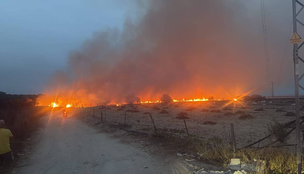 Sanlúcar, pendiente de La Algaida: las llamas movilizan a bomberos forestales en una zona de pinares
