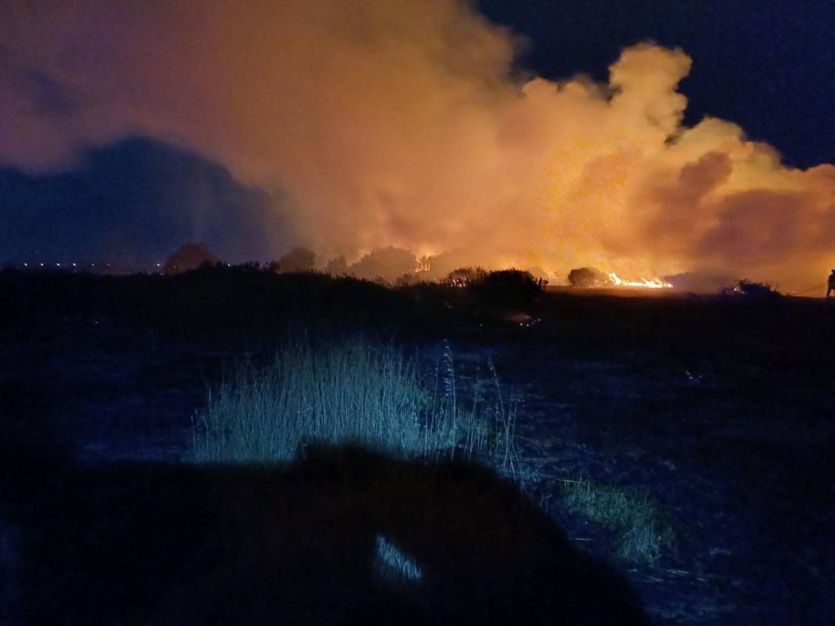 El incendio de La Algaida afecta a 3.000 metros cuadrados y se queda a punto de entrar en el Pinar de madrugada: 