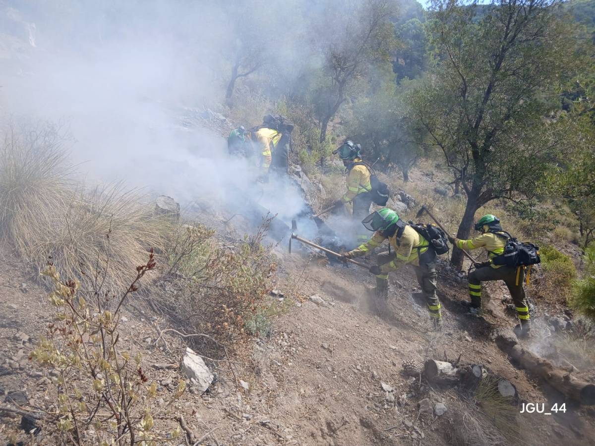 Efectivos de Infoca en el incendio. - Efectivos de Infoca en el incendio.