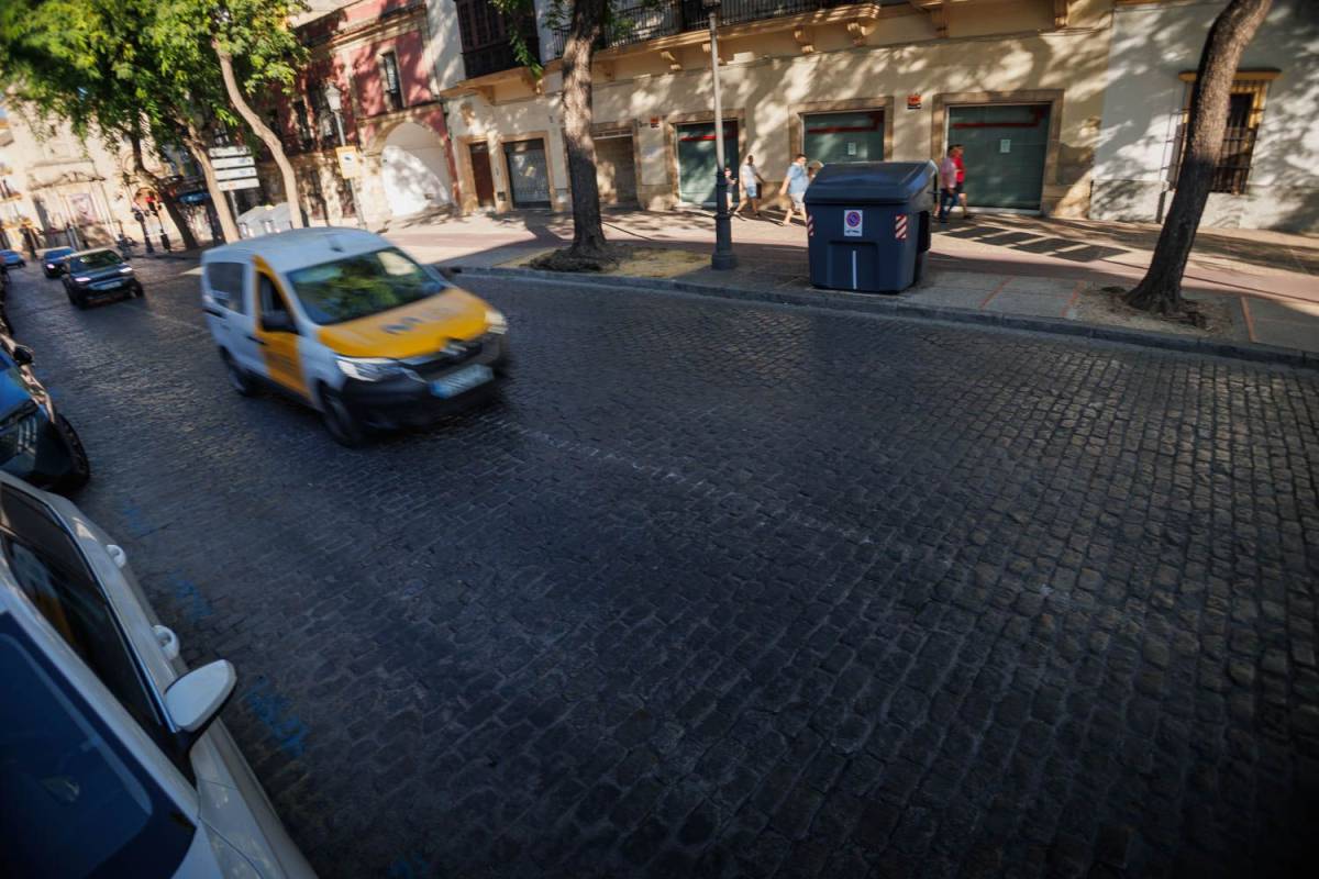 La batalla contra las ratas en Jerez: consulta el listado calle a calle de las 49 desratizaciones en septiembre