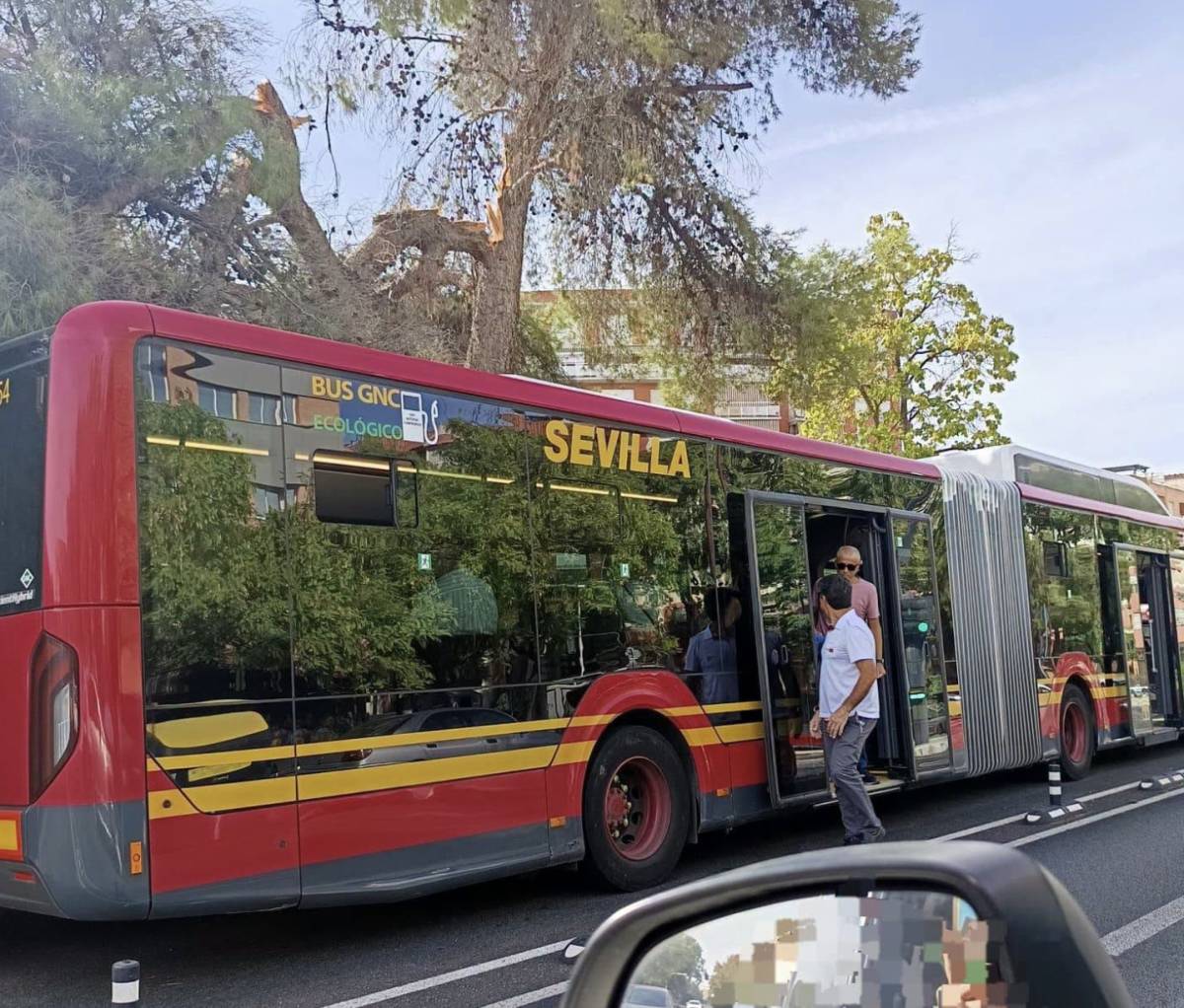 Autobús parado tras la caída de una enorme rama. - Autobús parado tras la caída de una enorme rama.