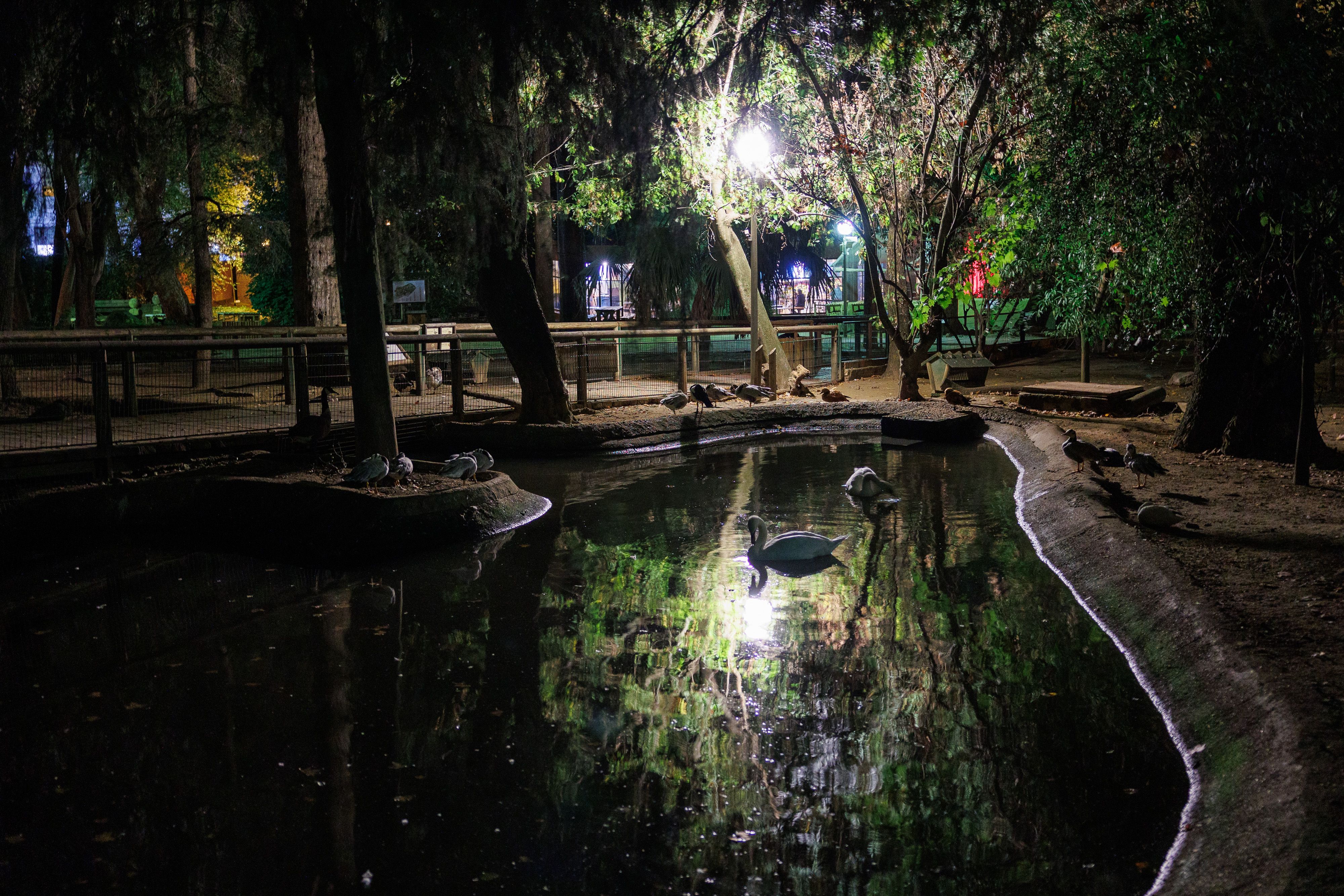 La Escuela de Naturaleza regresa al Zoobotánico de Jerez este verano: estrena granja andaluza