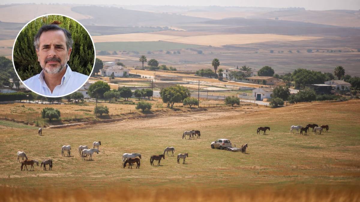 El nuevo presidente de la asociación por Asta Regia es optimista: "En el medio plazo vamos a tener las primeras excavaciones"