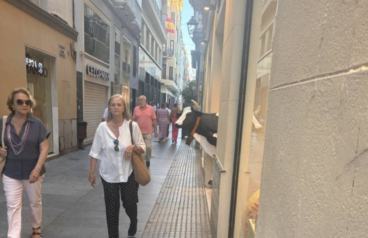 Un vecino ciego logra retirar la enorme vaca de Ale-Hop que dificultaba su camino en Cádiz: "Era una pesadilla"