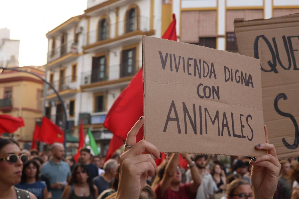Manifestación contra el rentismo en Sevilla, sindicato de inquilinas Sevilla - GONZALO TORO Manifestación contra el rentismo en Sevilla, sindicato de inquilinas Sevilla