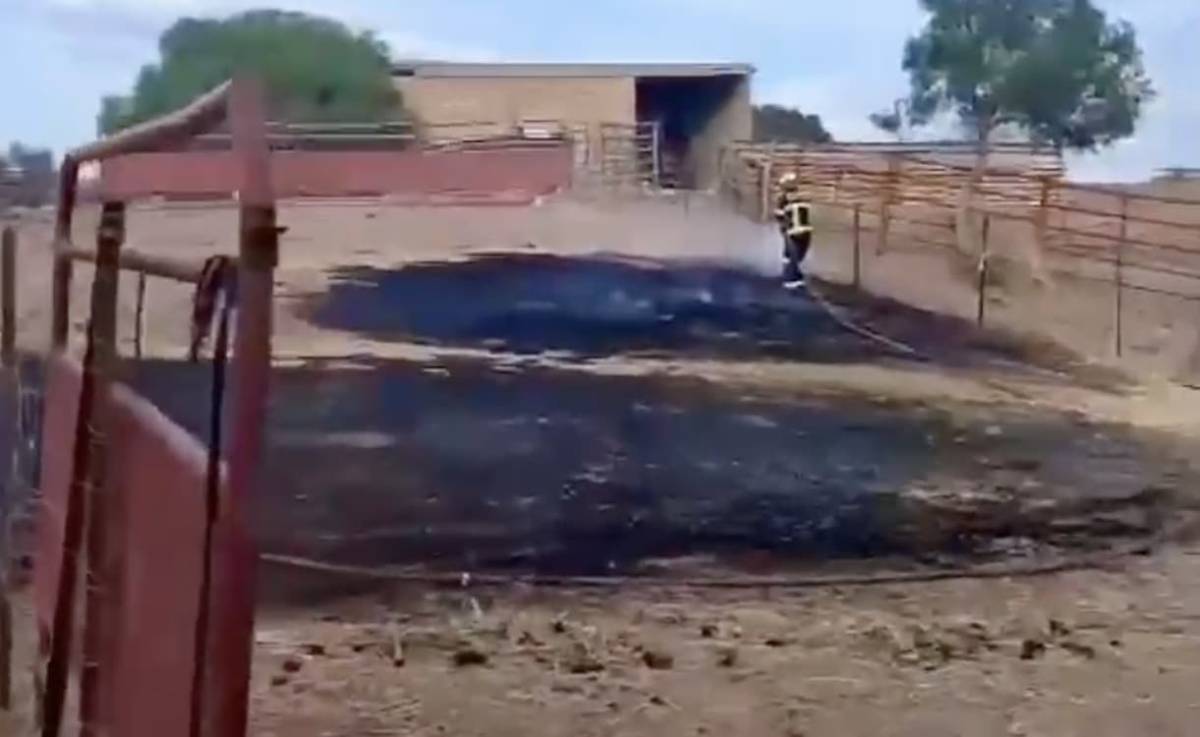 Arden cuatro hectáreas de pasto en una finca cerca de Jédula: tiene que intervenir el Infoca