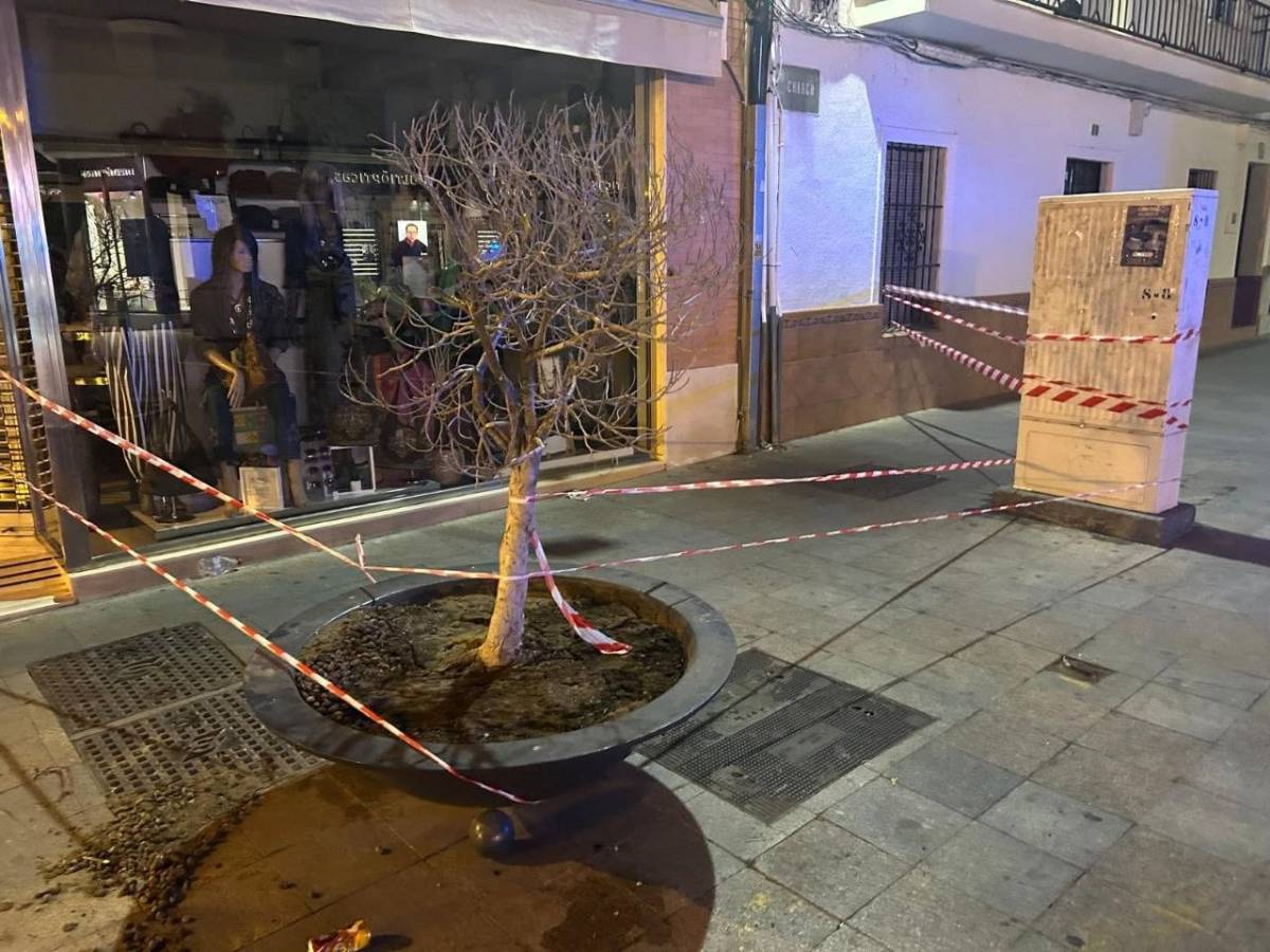 Pierde un dedo en Los Palacios por sentarse en un macetón de la vía pública