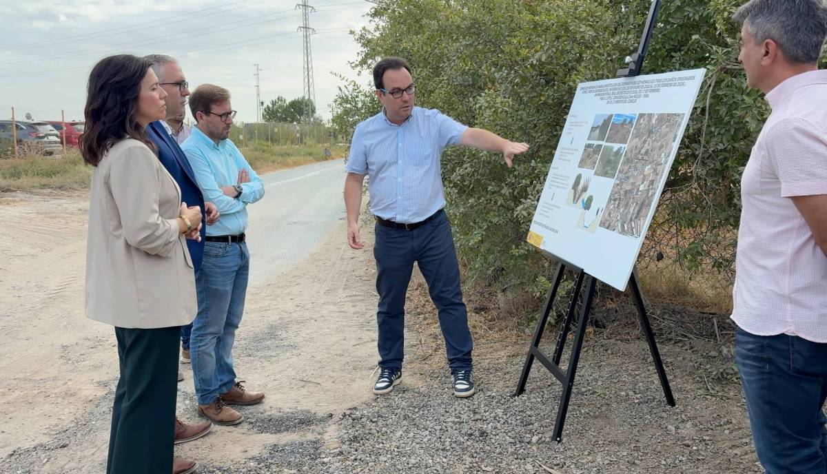 Los Palacios recupera el arroyo del Conejo: menos cañas y más capacidad de desagüe ante nuevas lluvias
