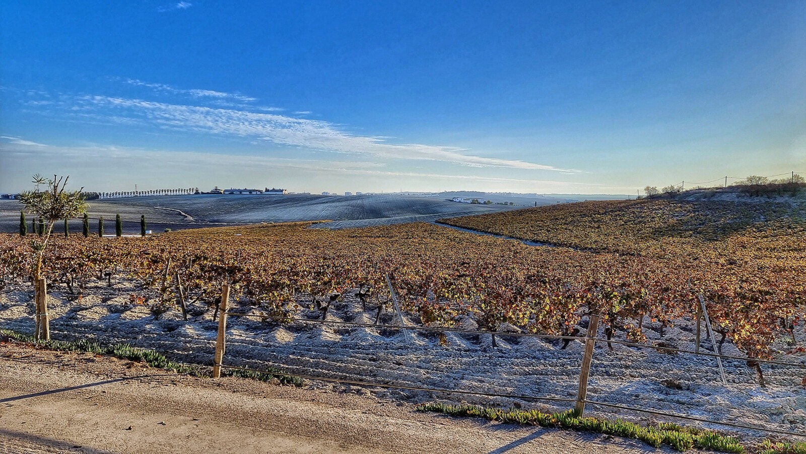 Jerez aspira a ser Ciudad Española del Vino en el año 2026