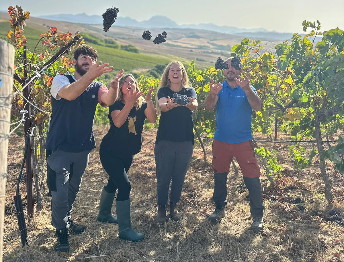 El modelo vitivinícola de Tesalia y una buena añada auguran vinos de gran calidad