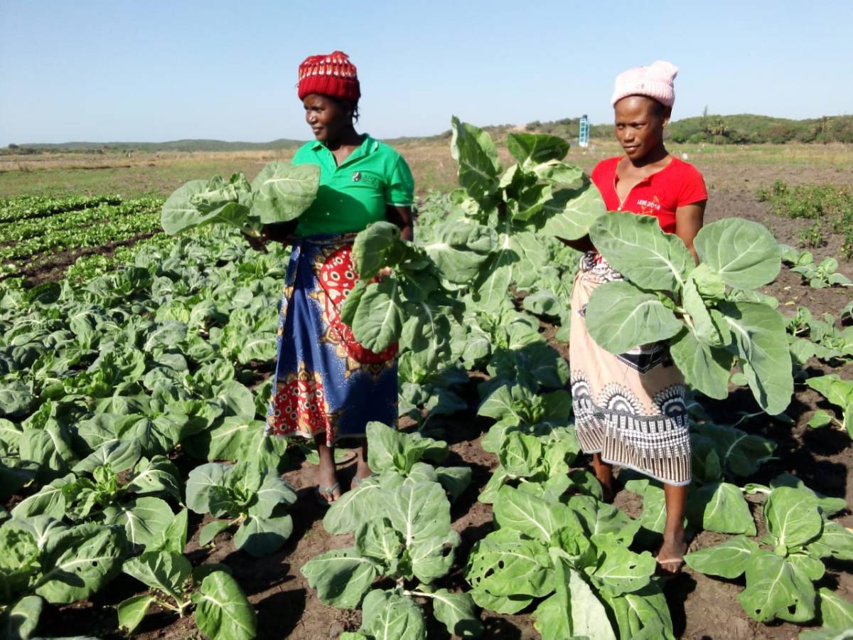 La Diputación de Cádiz destina 260.000 euros a 30 entidades que ayudan en África, América Latina y Oriente Medio