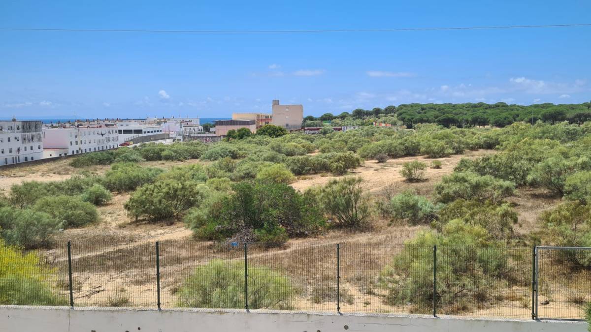 Barbate promoverá 304 nuevas viviendas en El Jarillo, 201 serán VPO