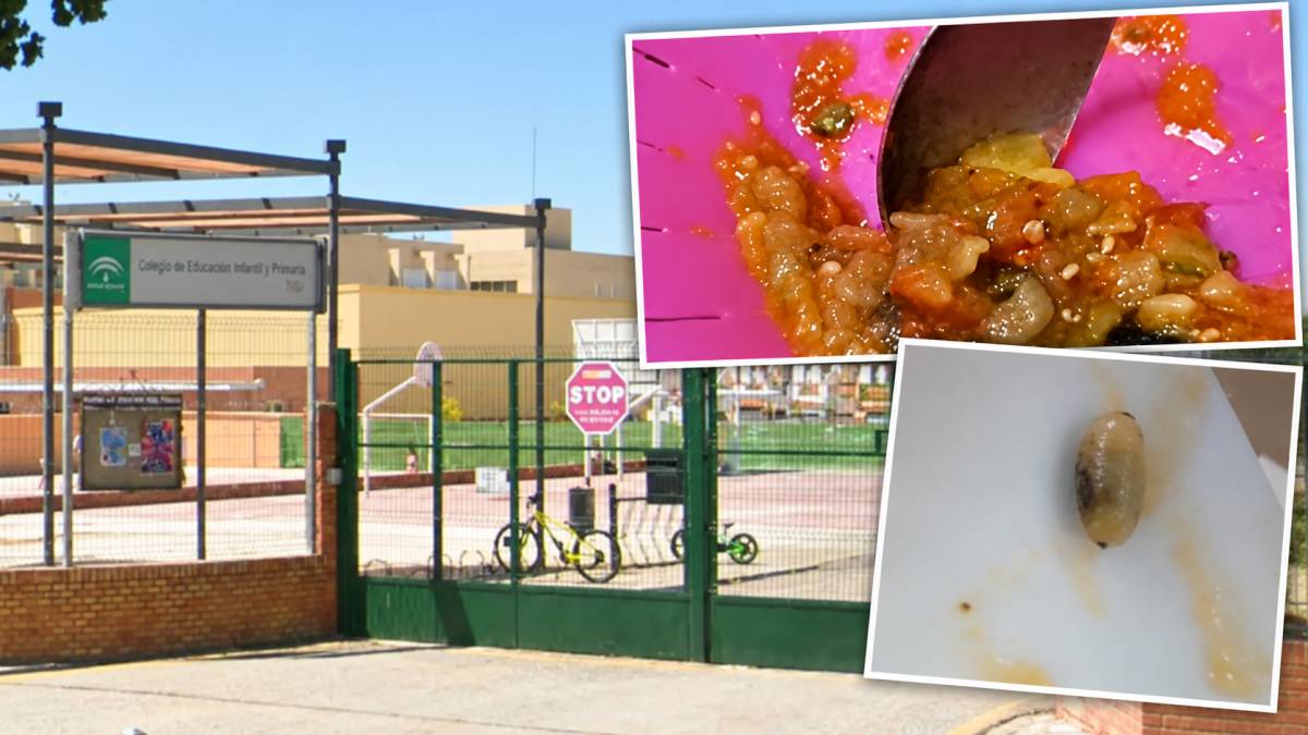 Piden auditoría a todos los comedores escolares de Andalucía tras el 'pisto sin pisto' y las larvas de gusano en algunos platos