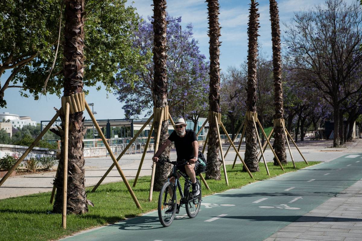 Un ciclista circula por un carril bici del entorno de Sevilla. - Un ciclista circula por un carril bici del entorno de Sevilla.
