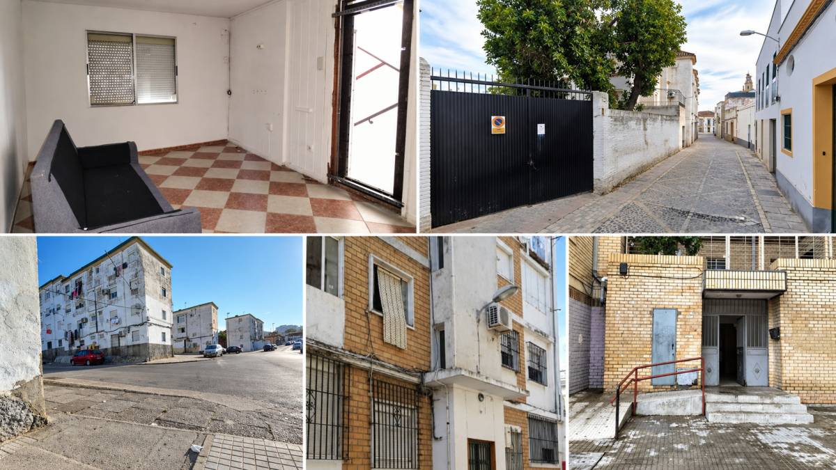 Un piso en Jerez por 15.600 euros… con alguien viviendo dentro: tres pisos okupados a la venta en la misma calle y otras 28 'ofertas'