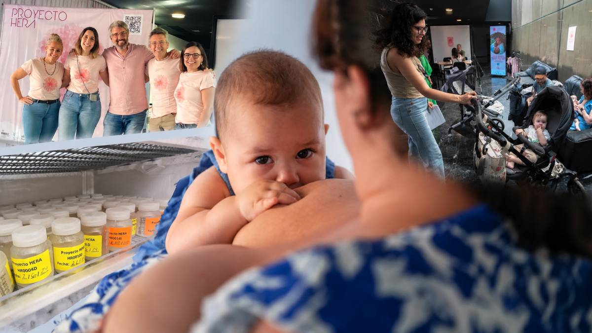 Proyecto HERA, Premio Voces del Sur 2026 a la Investigación por su lucha pionera contra el cáncer de mama posparto