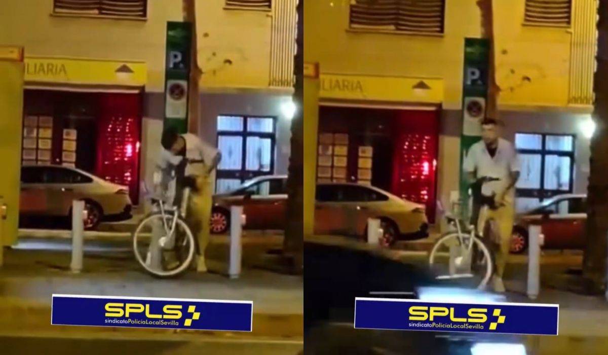 Sin inmutarse ante el paso de coches: graban a un hombre intentando robar una bicicleta de Sevici en Sevilla
