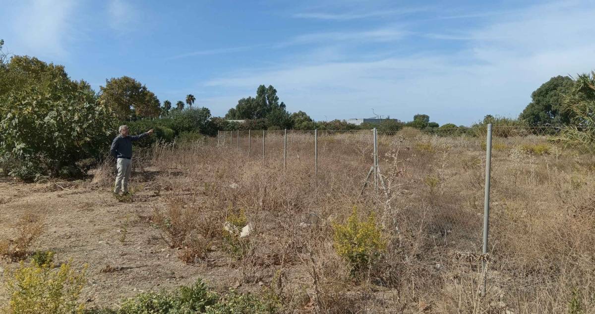 Este es el proyecto que contempla la construcción de 75 viviendas de alquiler asequible en Costa Ballena