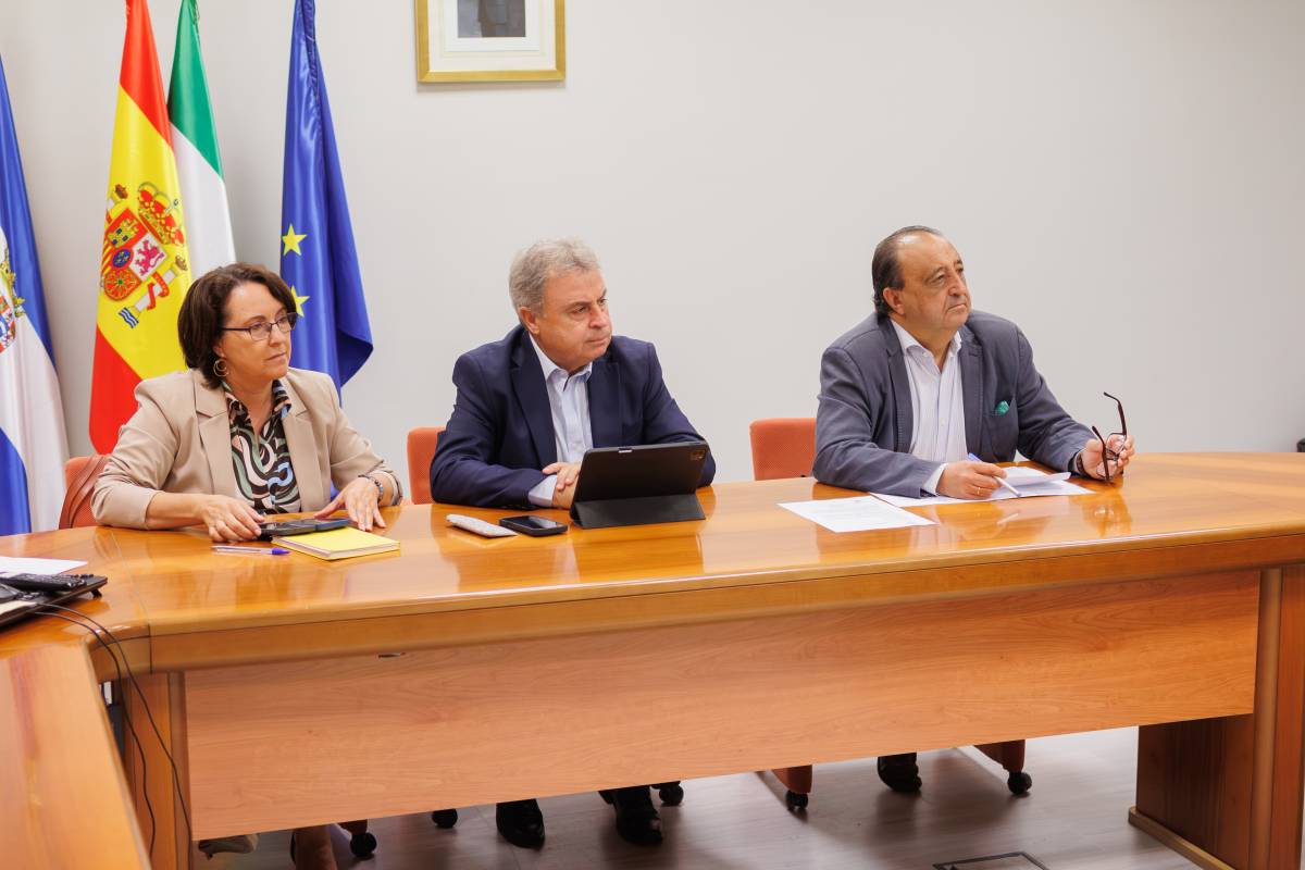 PATRONATO FUNDARTE REUNION AYUNTAMIENTO DE JEREZ