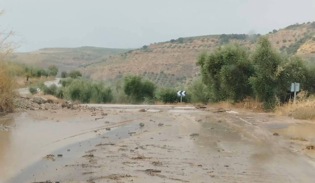 Carretera Torre Alhamique con Setenil - Carretera Torre Alhamique con Setenil
