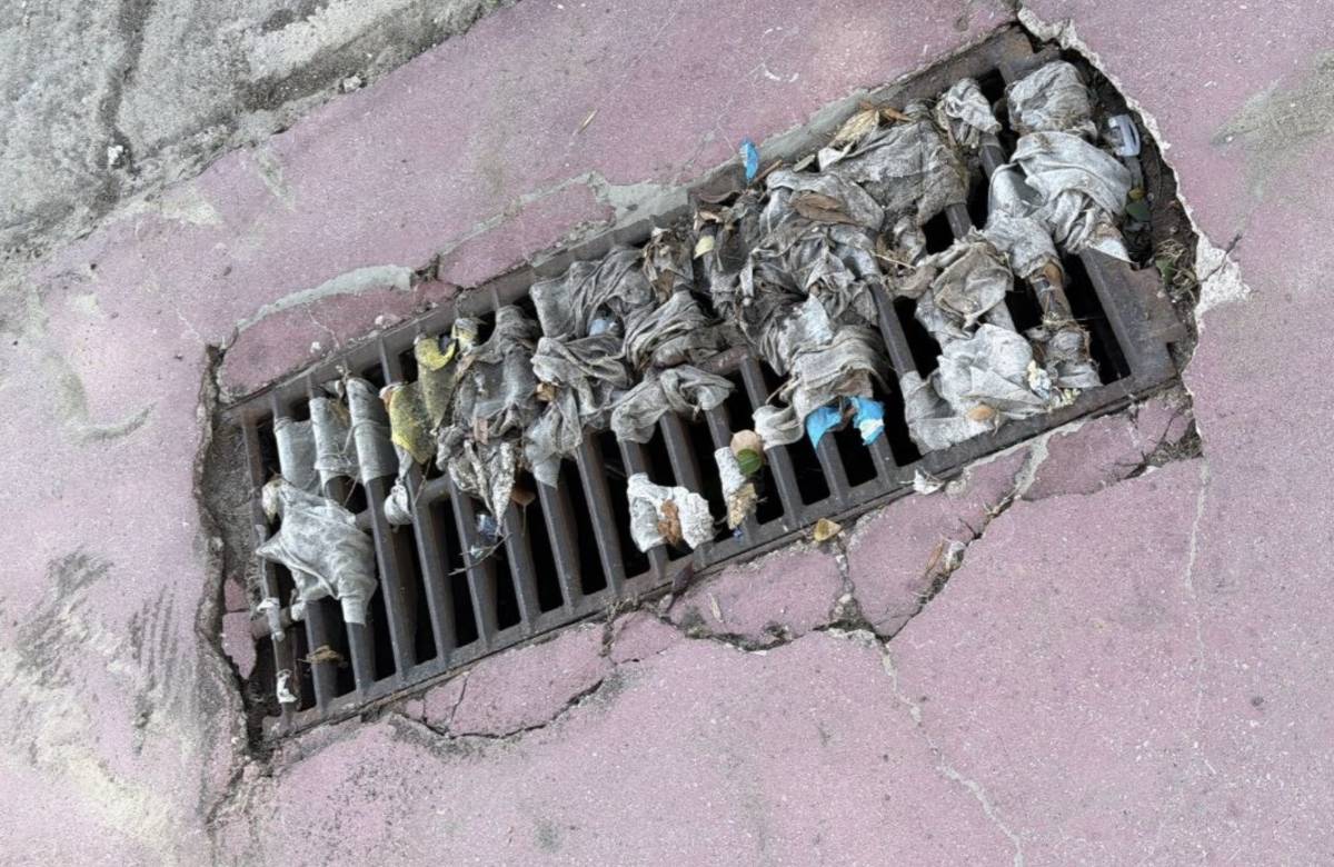 Así ha amanecido un colegio de Jerez tras las fuertes lluvias: toallitas, basura, tierra y ratas