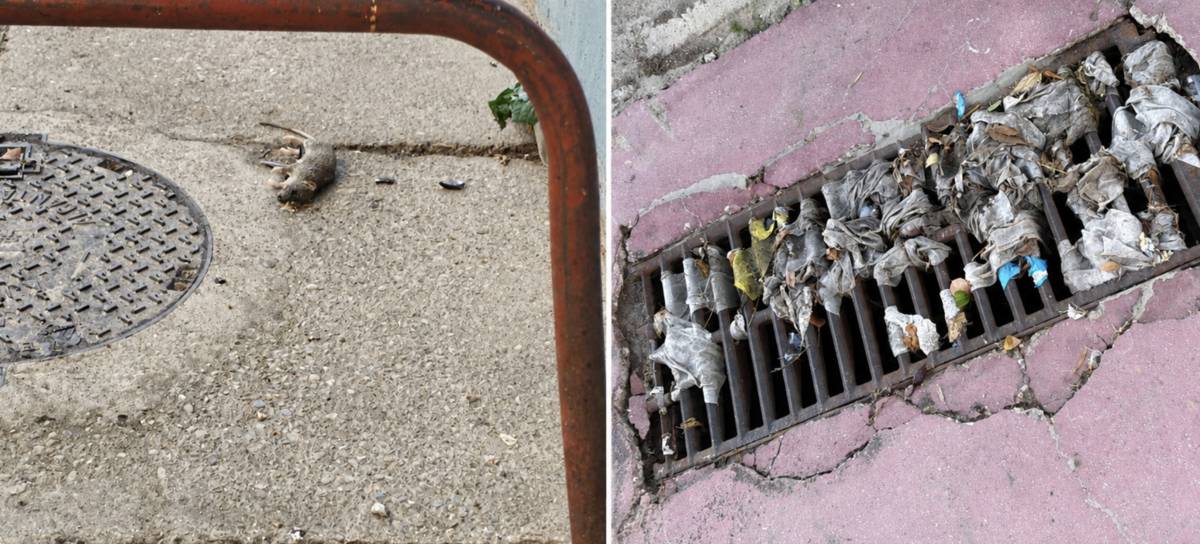 Así ha amanecido un colegio de Jerez tras las fuertes lluvias: toallitas, basura, tierra y ratas