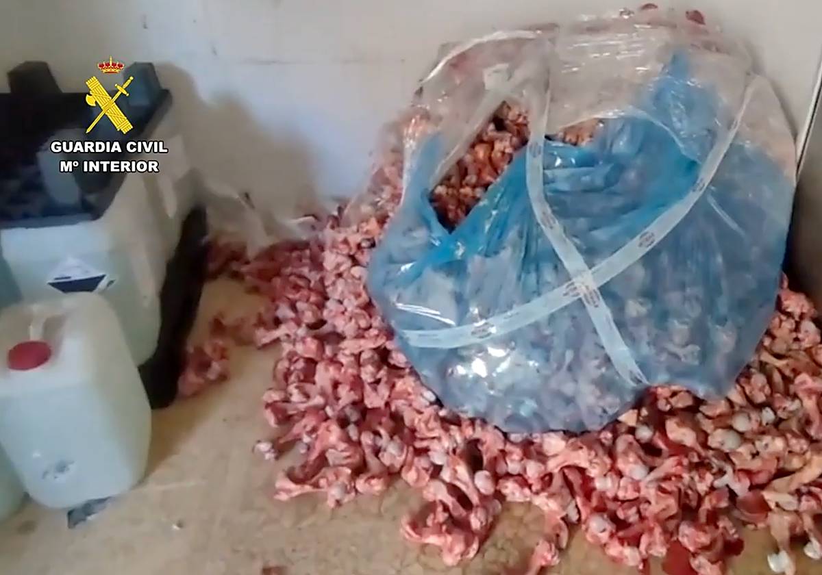 La fábrica ilegal que vendía grandes cantidades de carne en Benaoján. - La fábrica ilegal que vendía grandes cantidades de carne en Benaoján.