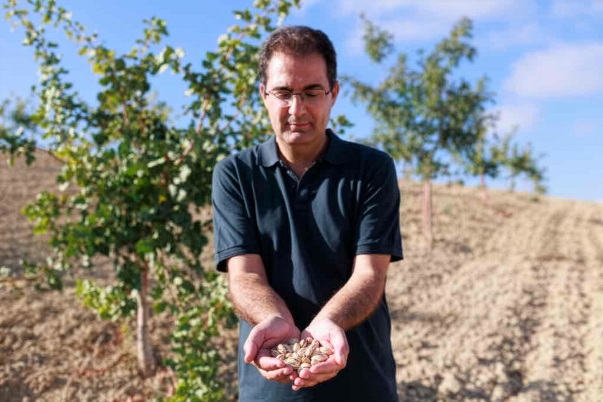 Para espolvorear en los helados, el pan y los pasteles: el nuevo pistacho de grano de la cooperativa de Olvera