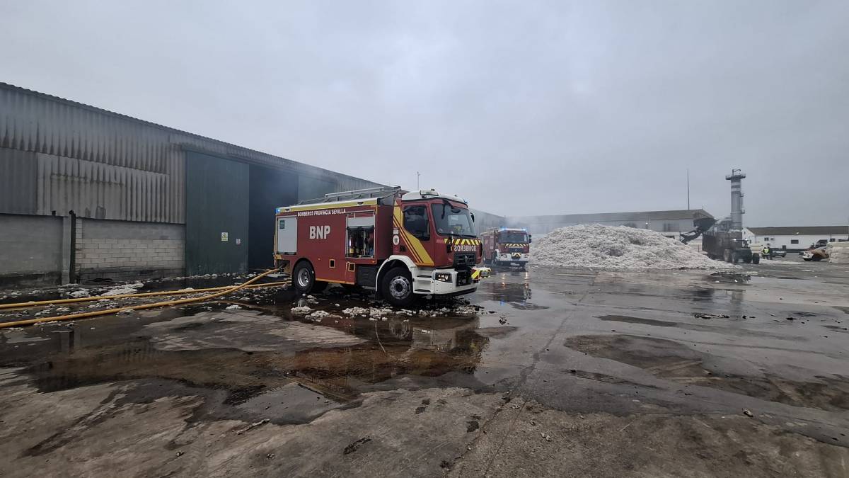 Efectivos de bomberos, durante la mañana.