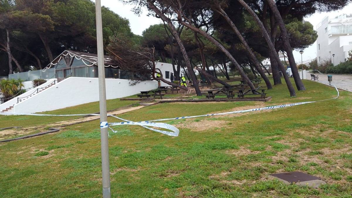 Conil aún no ha recibido las ayudas por el tren de borrascas de principios de año
