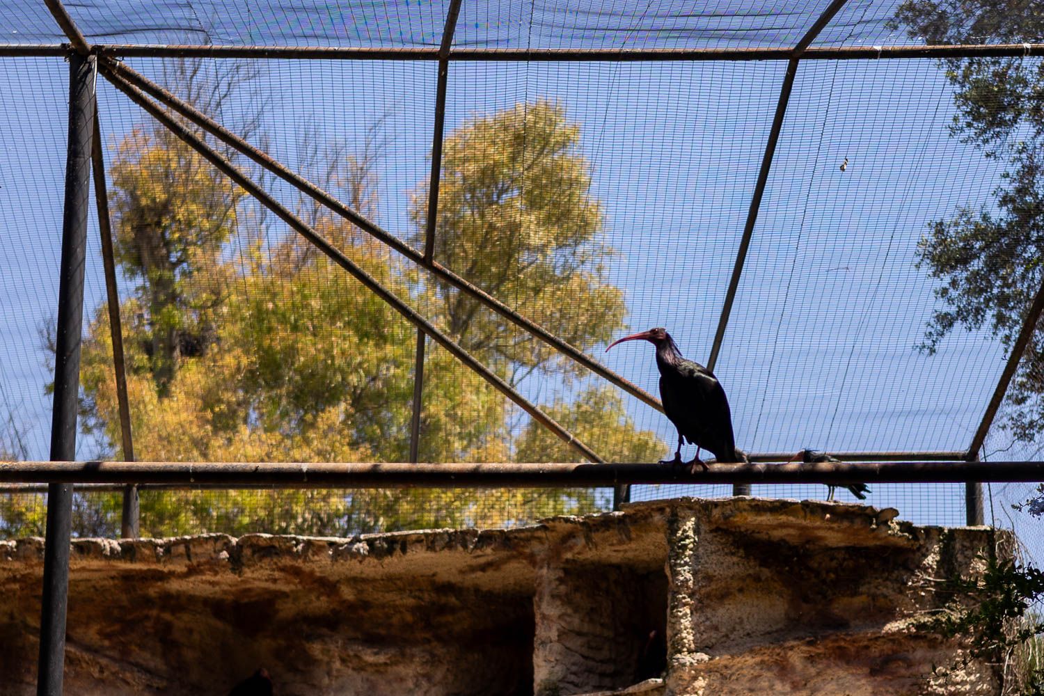 Robo de madrugada en el Zoo de Jerez