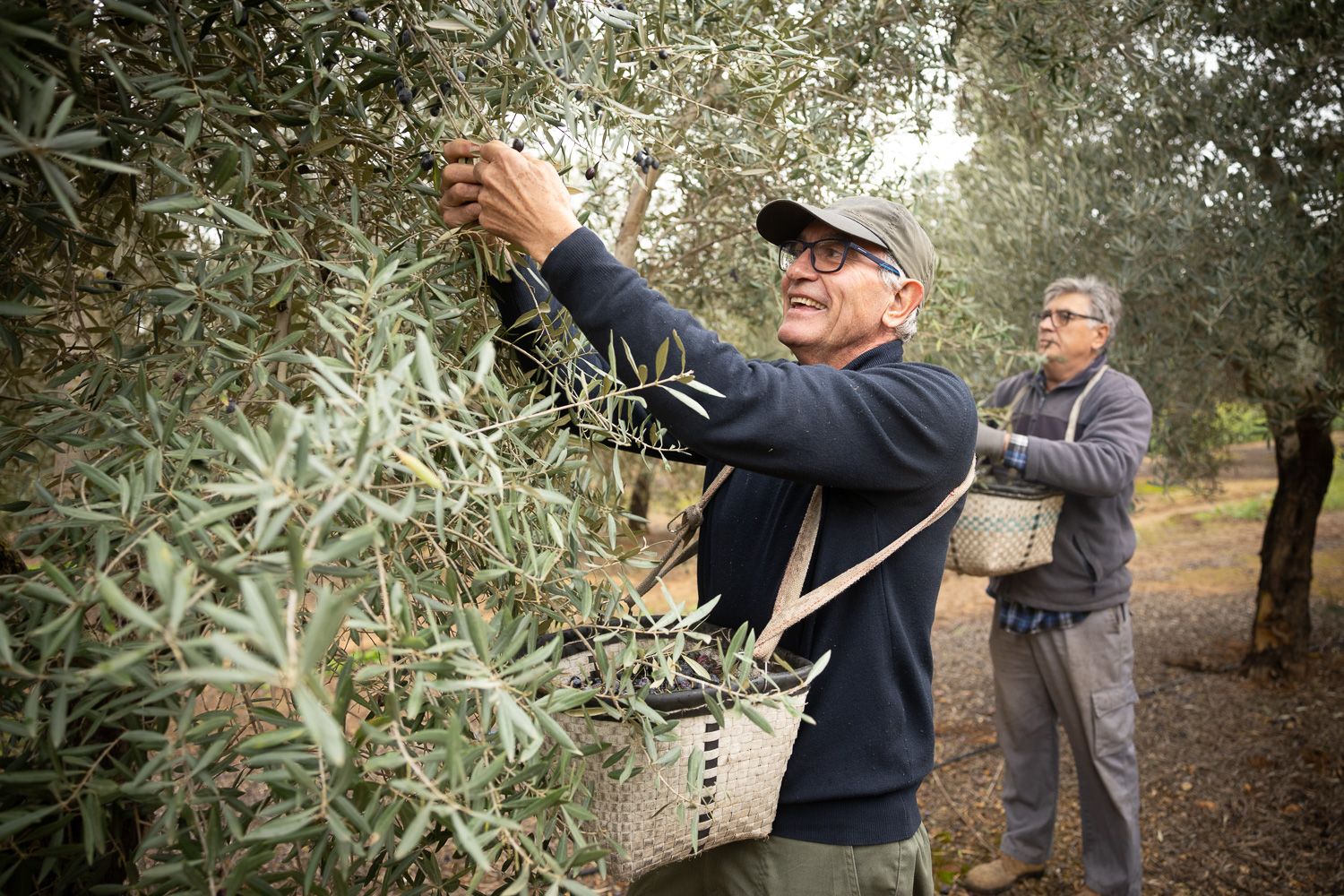 Cañamero recuerda su infancia de posguerra a través del aceite: 
