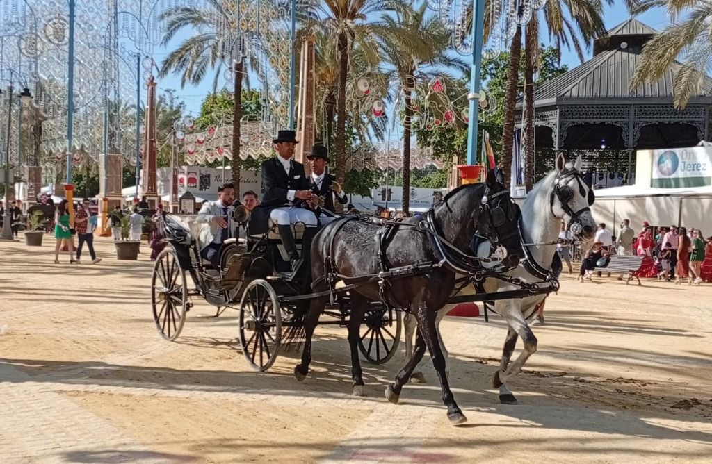 Carretera y flamencura, entre Algeciras y la Feria de Jerez, una noche especial en Medina