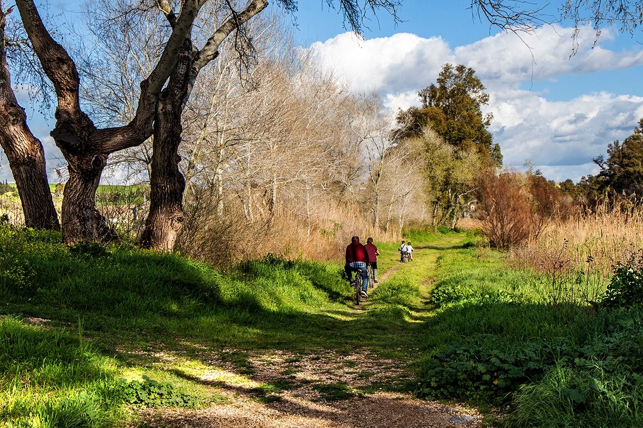 Uno de los bosques que se pueden encontrar en Jerez. - 