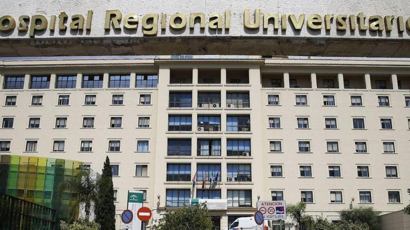 La picadura que casi le cuesta el brazo: un vecino de Málaga, hospitalizado tras el ataque de una araña violinista