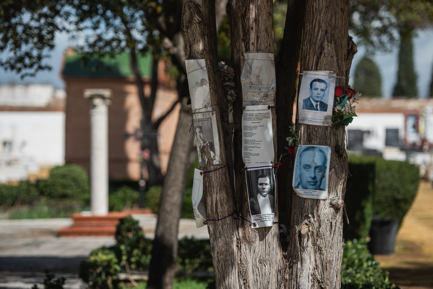 Fotografías de represaliados en la fosa Monumento, en el cementerio de Sevilla. - MAURI BUHIGAS