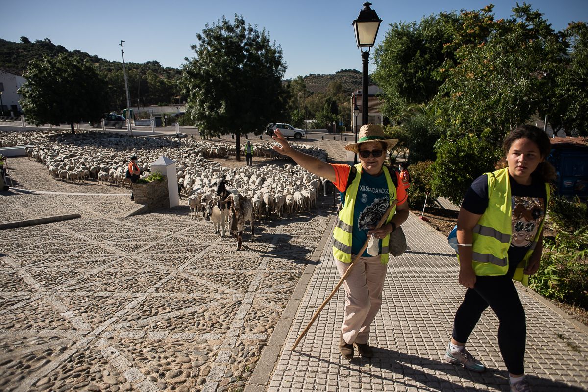 Trashumancia, en un reportaje. - MANU GARCÍA