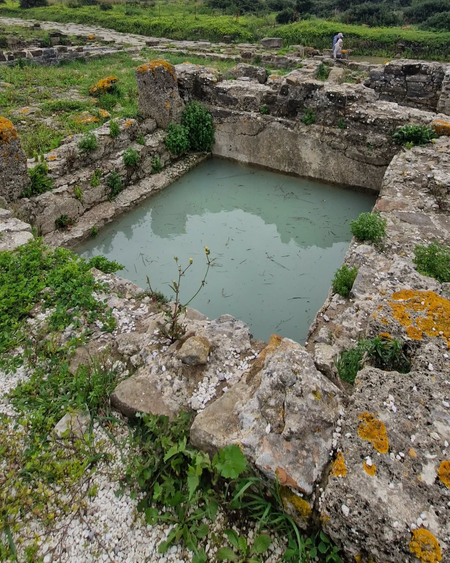 Imagen del frigidarium en Baelo Claudia.   CÁDIZ EN RUTA - 