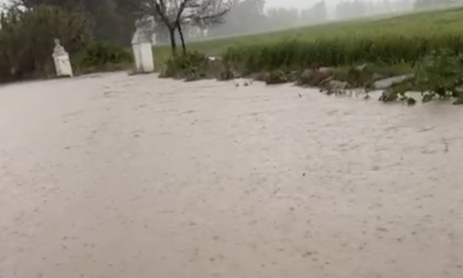 Así está de agua el entorno de la laguna de Los Tollos, situada entre Jerez y El Cuervo