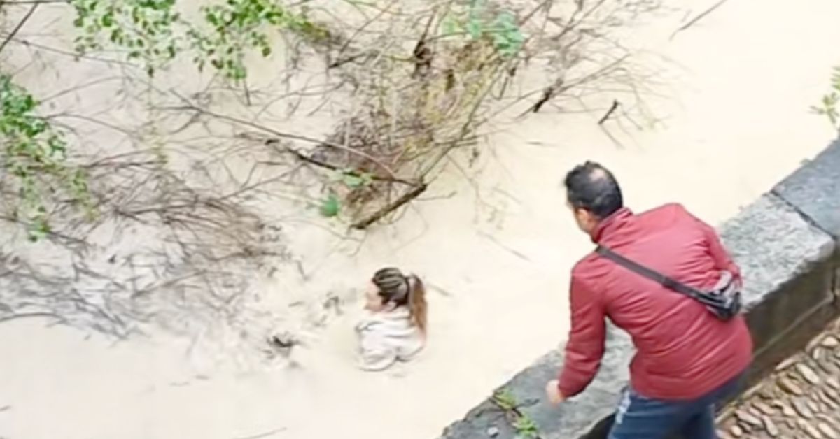 Impresionante rescate en el Guadalquivir: se tira al agua para salvar a un gato callejero