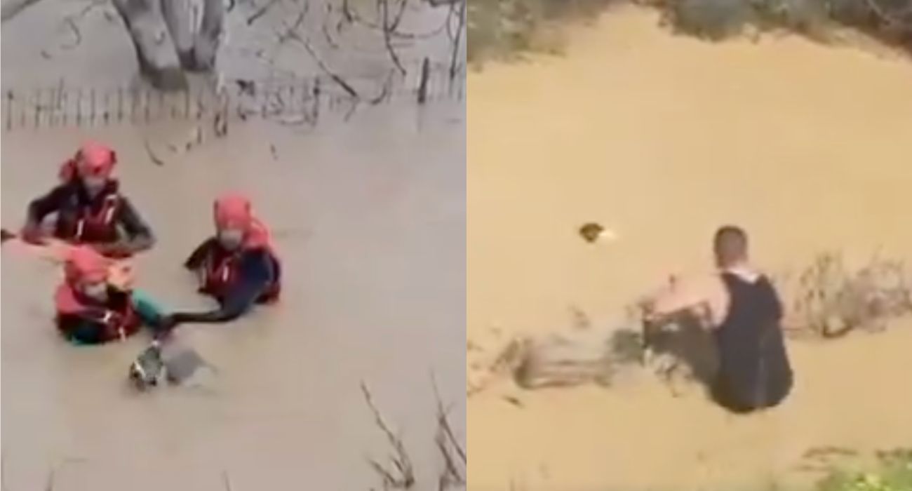 Dos de los rescates de perros que se han llevado a cabo en la provincia de Málaga. - 